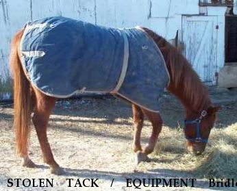 STOLEN TACK / EQUIPMENT Bridle, Halter/bridle, Horse Blanket, Near Baltimore, MD, 21220